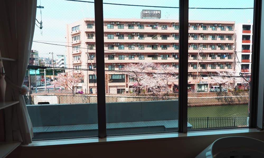 2階リハビリテーション室から桜が見えます。